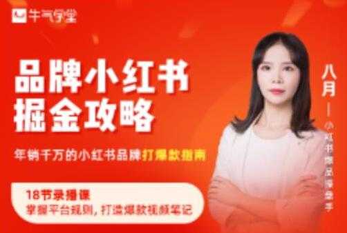 《品牌小红书掘金攻略》年销千万的小红书品牌打爆款指南-冒泡网