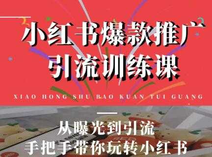 图片[1]-狼叔小红书爆款推广引流训练课，从曝光到引流手把手带你玩转小红书-冒泡网