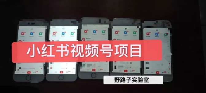 图片[1]-野路子小红书视频号1.0项目，直接上手操作就能赚钱的视频号项目-冒泡网