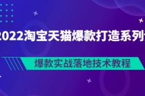 2022淘宝天猫爆款打造系列课：爆款实战落地技术教程-冒泡网
