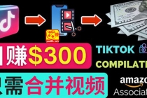 搬运Tiktok短视频到Youtube赚钱，只需下载，合并视频，日赚300美元-冒泡网