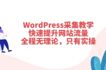 WordPress采集教学，快速提升网站流量：全程无理论，只有实操-冒泡网