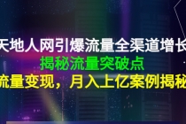 天地人网引爆流量全渠道增长：揭秘流量突然破点，流量变现，月入上亿案例-冒泡网
