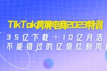 TikTok跨境电商2023特训：35亿下载＋10亿月活，不能错过的亿级红利风口-冒泡网