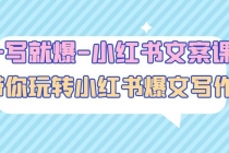 一写就爆-小红书文案课：带你玩转小红收爆文写作-冒泡网