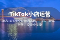 TikTok小店运营 抢占TikTok全球蓝海市场，开店、运营、带货、投流全实操-冒泡网