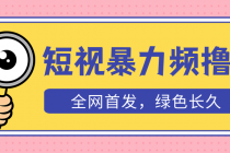 外面收费1680的短视频暴力撸金，日入300+长期可做，赠自动收款平台-冒泡网