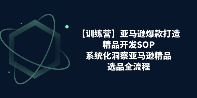 【训练营】亚马逊爆款打造之精品开发SOP，系统化洞察亚马逊精品选品全流程-冒泡网
