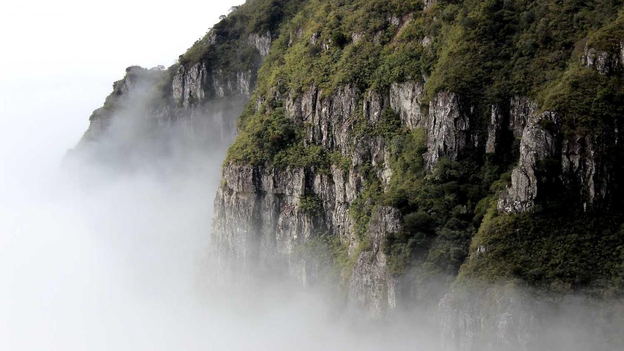 揭秘冒泡网赚模式：数字时代的收入新机遇-冒泡网