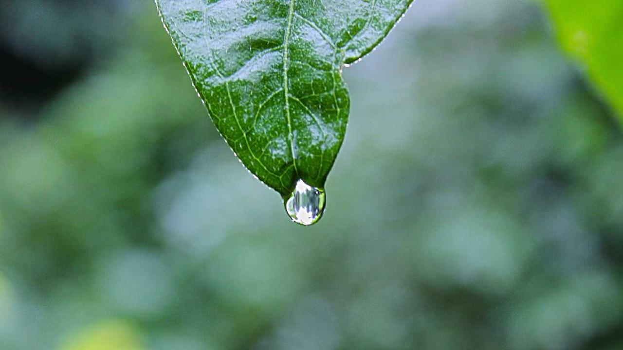 图片[2]-冒泡网赚：开辟多元在线收入的新路径与策略-冒泡网