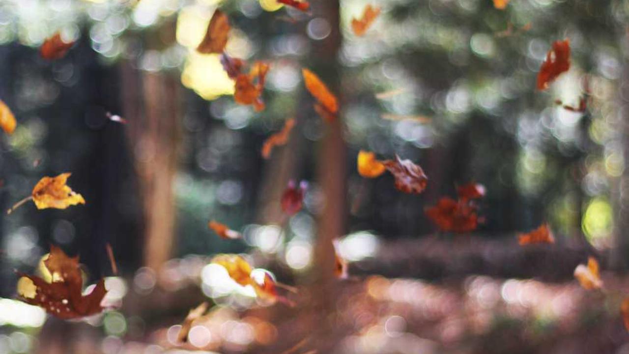 图片[3]-如何利用冒泡网赚取稳定收益的有效策略-冒泡网