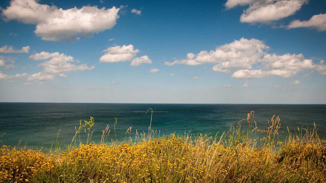 冒泡网赚：如何通过内容创作实现稳定收入-冒泡网