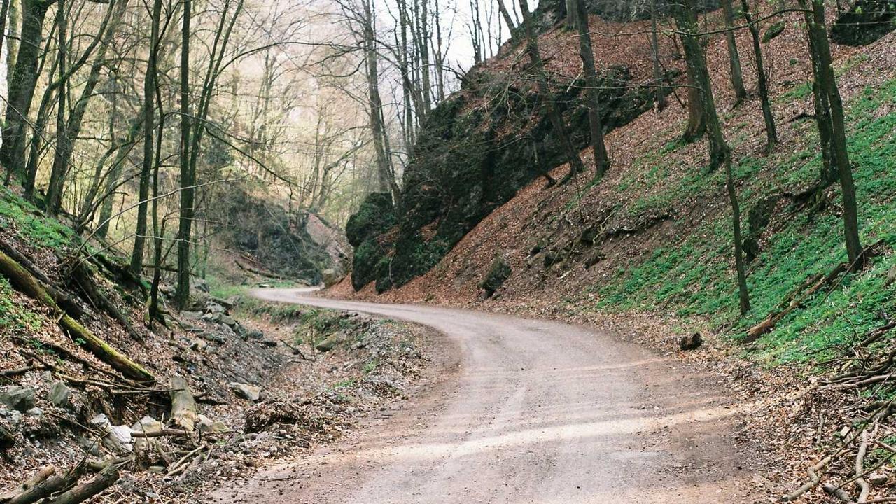 图片[2]-揭示冒泡网赚的多样化机会与盈利模式-冒泡网