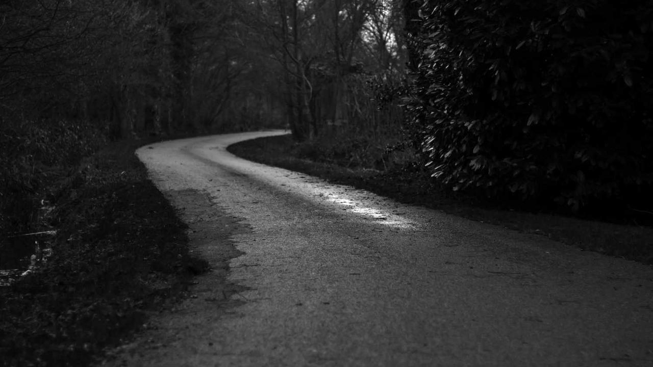 图片[3]-冒泡网赚：发掘网络创收技巧与潜力-冒泡网