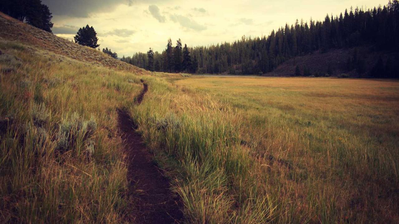 图片[2]-冒泡网赚：揭示数字经济中的财富增值新机遇-冒泡网