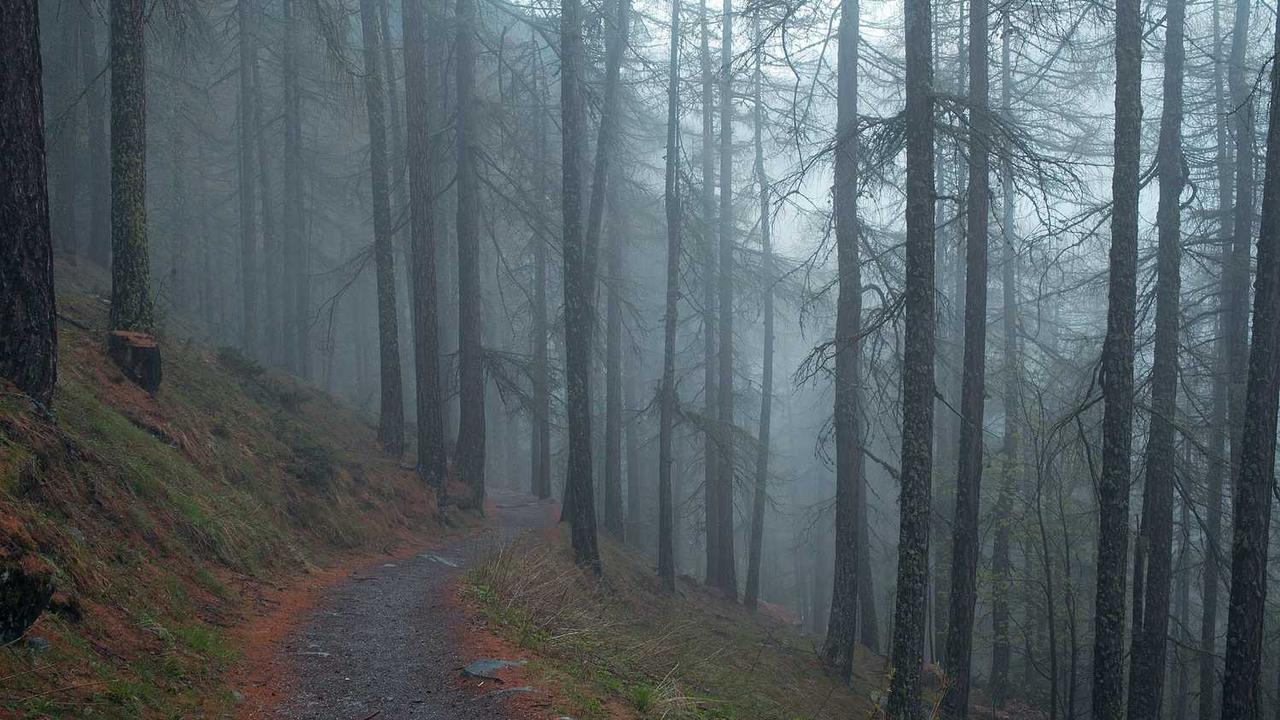 图片[3]-冒泡网赚：开启网络收益的新型合作平台-冒泡网