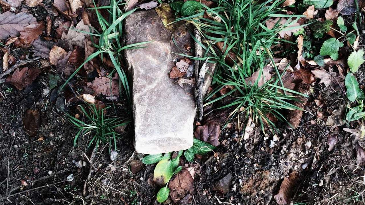 **冒泡网赚的秘密：如何实现稳定的在线收入**-冒泡网