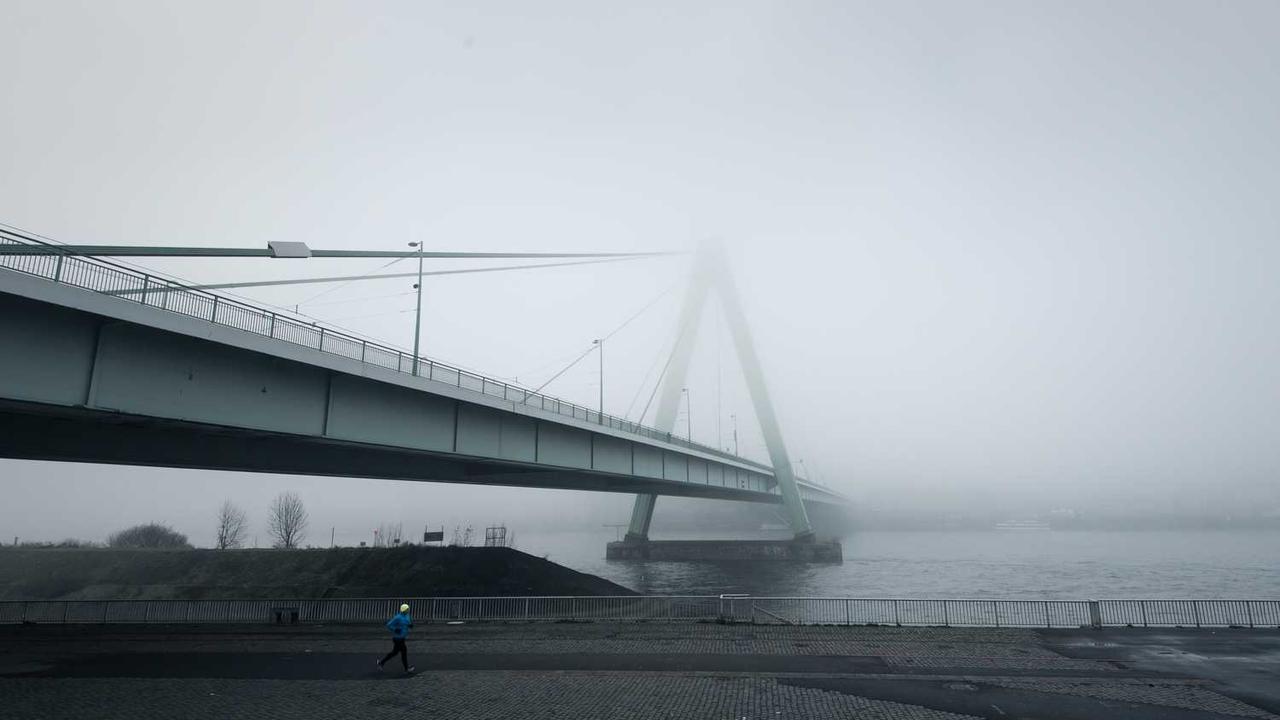 图片[2]-探索冒泡网赚的实用策略与成功案例解析-冒泡网