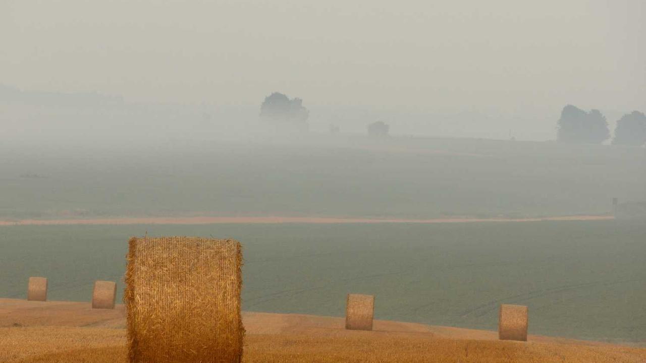 图片[3]-冒泡网赚全解析：提升内容创作收益的秘诀-冒泡网