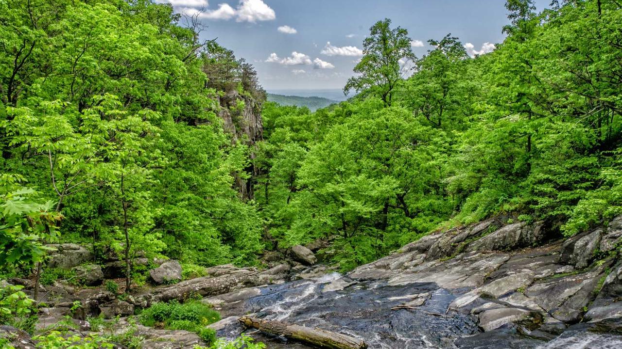 图片[2]-冒泡网赚：揭示轻松赚取在线收益的有效策略-冒泡网