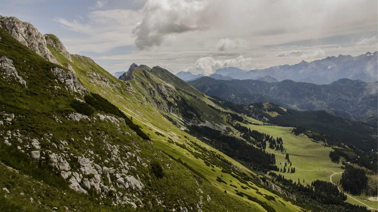 图片[3]-冒泡网赚：探索数字时代的新兴收入模式与策略-冒泡网