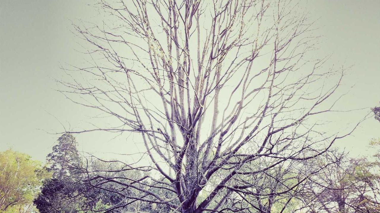 图片[2]-掌握冒泡网赚技巧，开启你的在线收入新路径-冒泡网