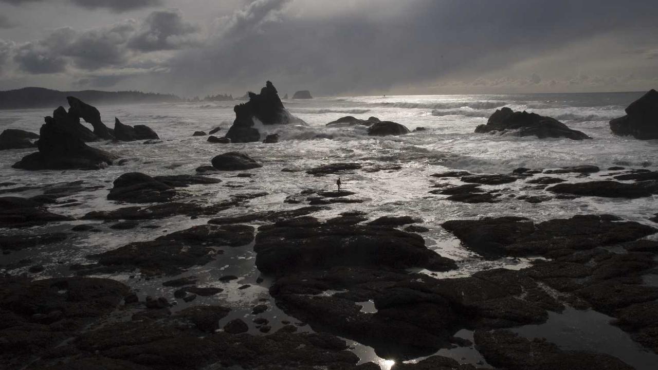 图片[3]-探索冒泡网赚：被动收入的新机遇与策略-冒泡网