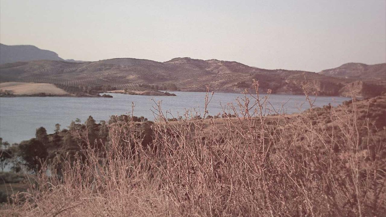 冒泡网赚：高效引流与盈利的新机遇探索-冒泡网