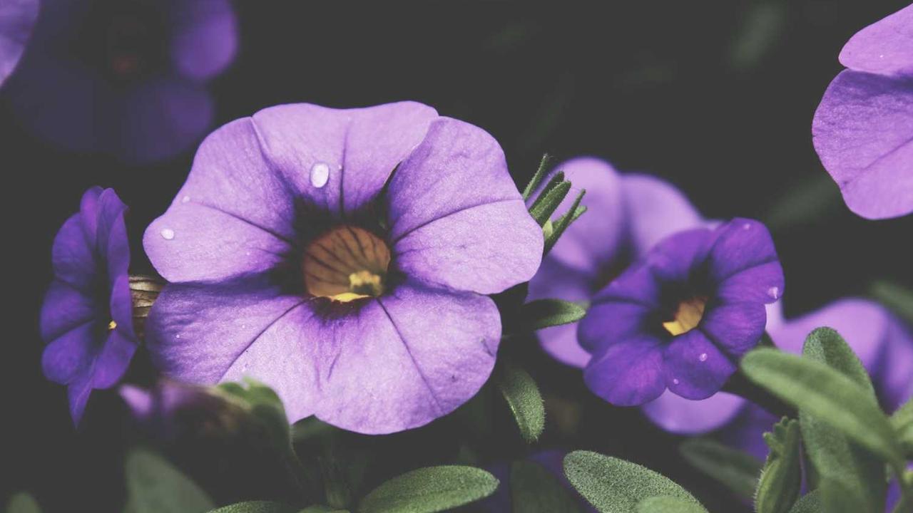 图片[2]-冒泡网赚：开启你的在线盈利之旅-冒泡网