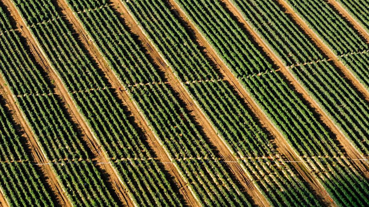 冒泡网：个人品牌建设与收益实现的新机遇-冒泡网
