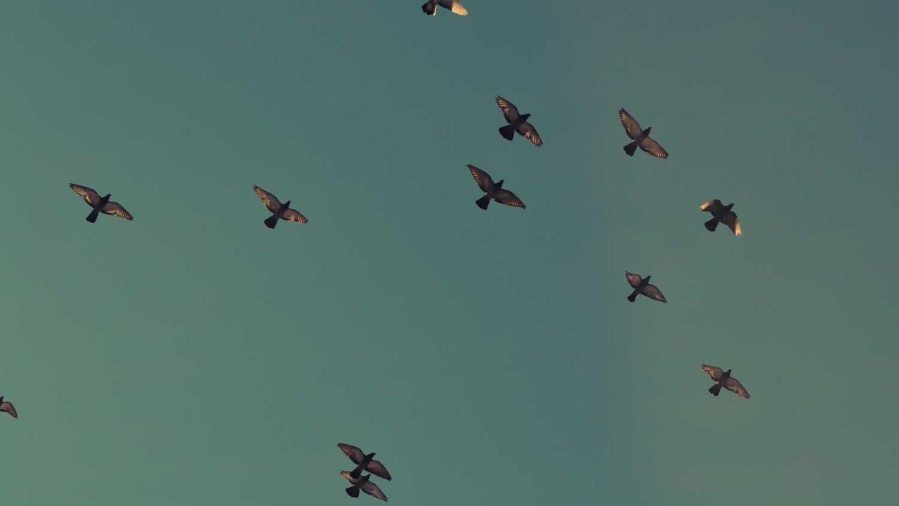 图片[2]-揭秘冒泡网赚：掌握新兴平台的盈利策略-冒泡网