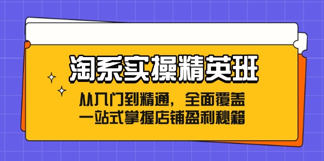 淘系实操精英班：从入门到精通，全面覆盖，一站式掌握店铺盈利秘籍-冒泡网