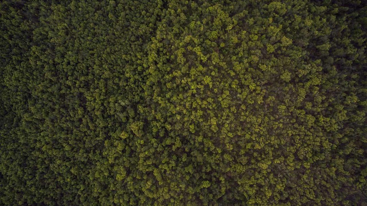 图片[2]-**“冒泡网赚：探索零基础实现稳健收益的路径”**-冒泡网