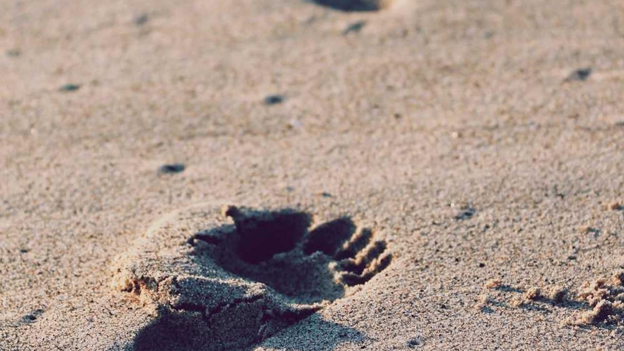 图片[2]-冒泡网赚：掘金数字时代的全新成长机会-冒泡网