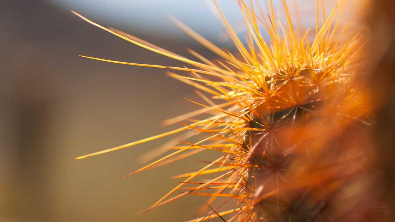 图片[2]-冒泡网赚：多元化平台盈利策略探讨-冒泡网