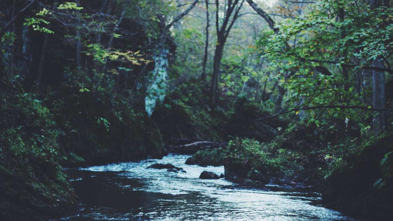 图片[3]-冒泡网赚：发掘创新在线赚钱模式的机遇与挑战-冒泡网