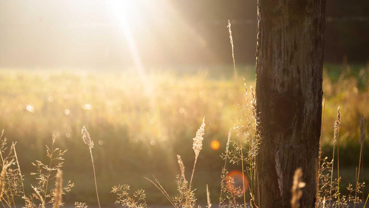 图片[2]-冒泡网赚：开启你的在线收益新航道-冒泡网