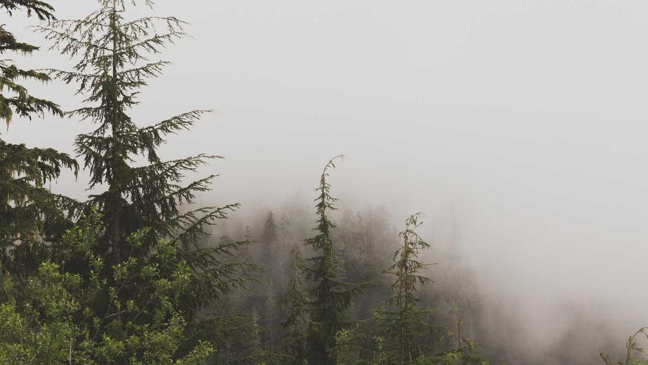 图片[2]-全新冒泡网赚攻略：轻松实现在线收益的方法与技巧-冒泡网