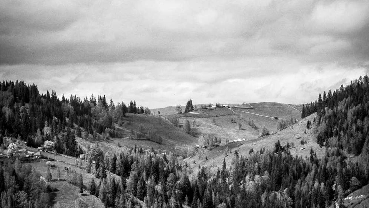 图片[3]-揭秘冒泡网赚的成功策略与盈利机会-冒泡网