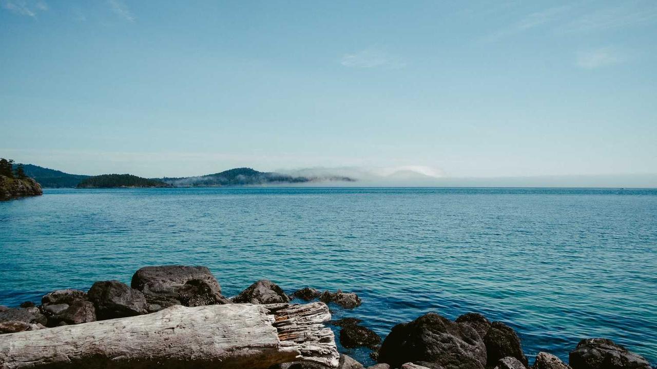 图片[3]-探索冒泡网赚的多样模式及其潜在收益分析-冒泡网