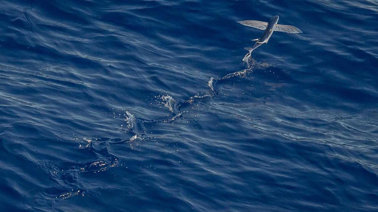 揭秘冒泡网赚的多重盈利模式与策略分析-冒泡网