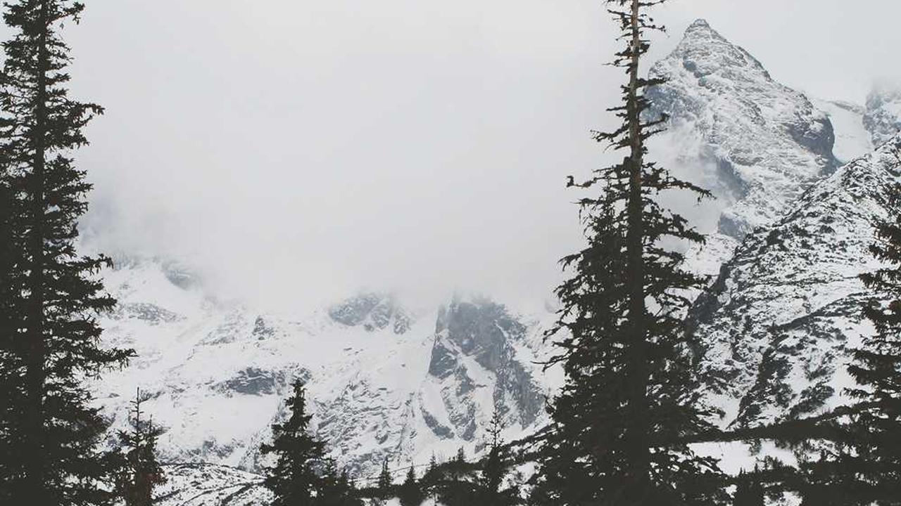 图片[3]-揭秘冒泡网的创收策略与创新发展方向-冒泡网