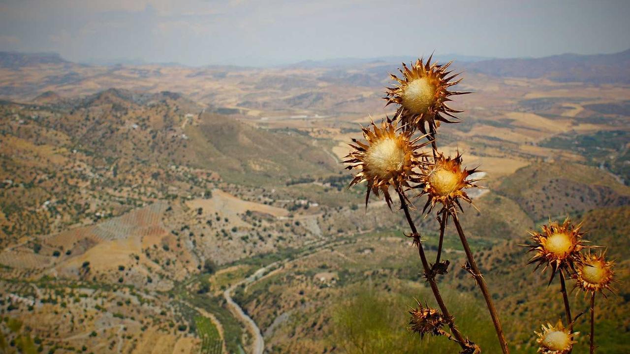 图片[2]-冒泡网赚：如何利用平台策略实现收入多元化-冒泡网