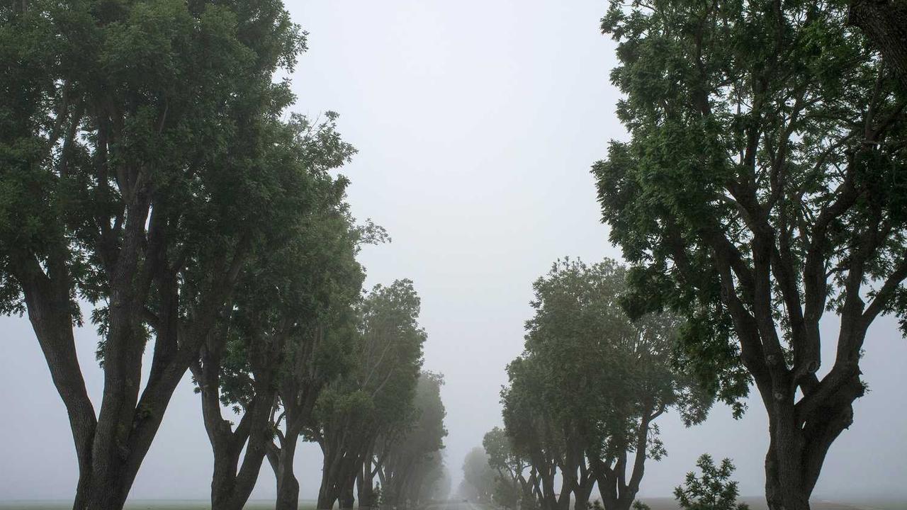 揭秘冒泡网赚：如何有效提升在线收入潜力-冒泡网