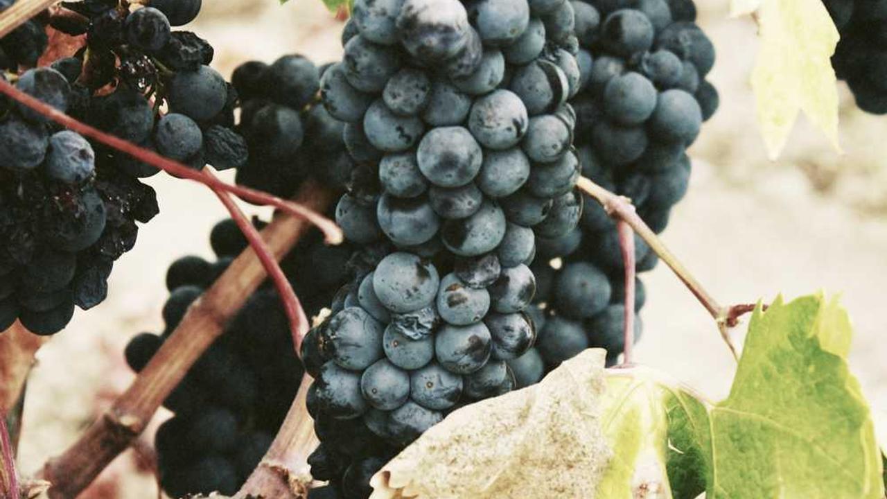 图片[2]-冒泡网赚：掌握社交平台盈利的高效策略与技巧-冒泡网