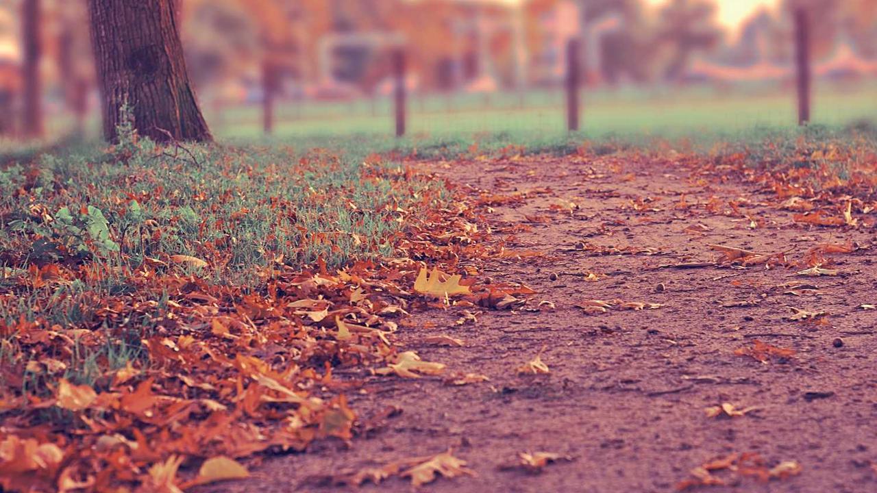 图片[3]-冒泡网赚：探索在线收益的新机遇与实用技巧-冒泡网