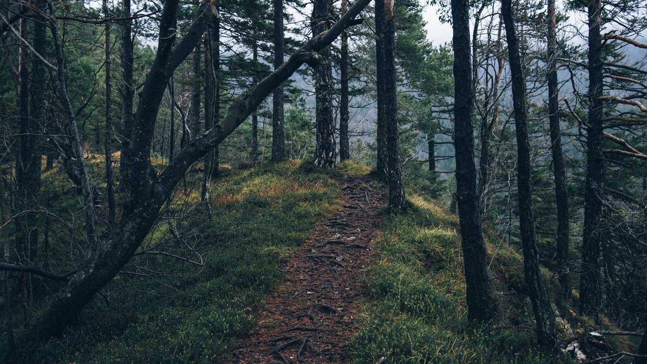 图片[3]-冒泡网赚：高效在线收入的实现路径与策略探讨-冒泡网