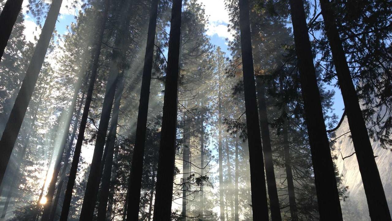 图片[2]-深度解析冒泡网赚策略与实战经验分享-冒泡网