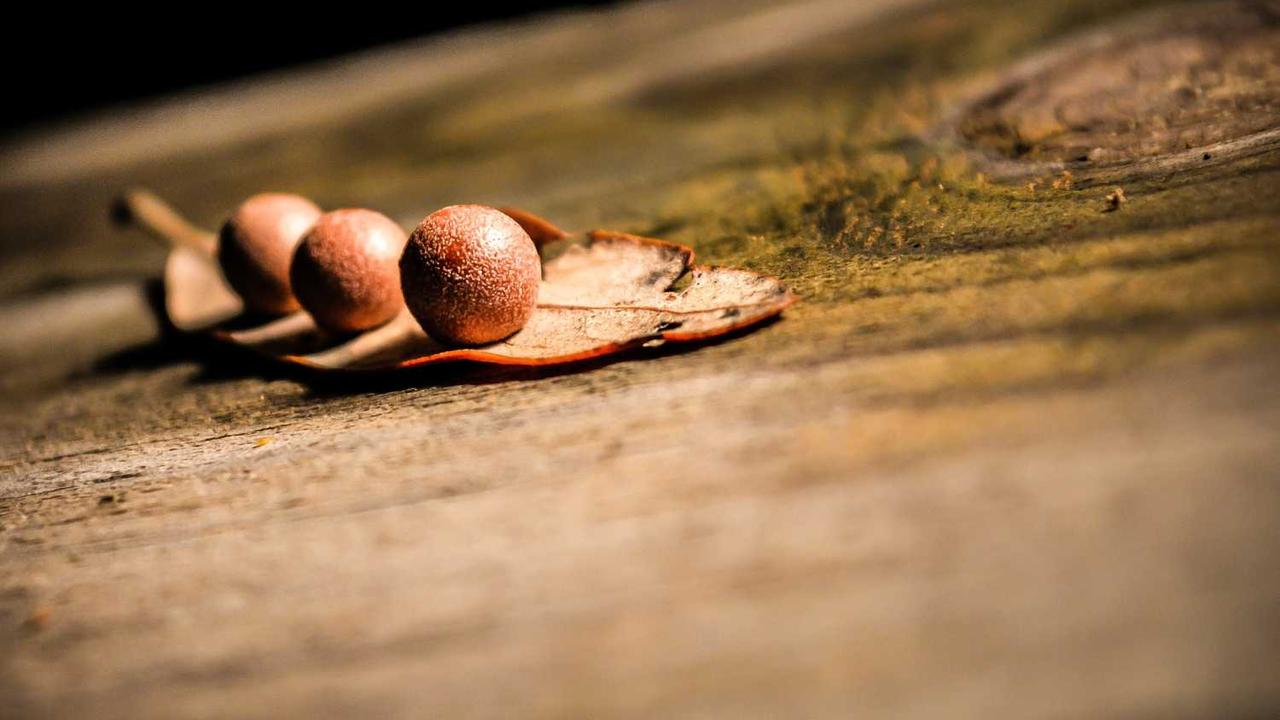 图片[3]-冒泡网赚：揭秘新兴在线收益模式的成功要素-冒泡网