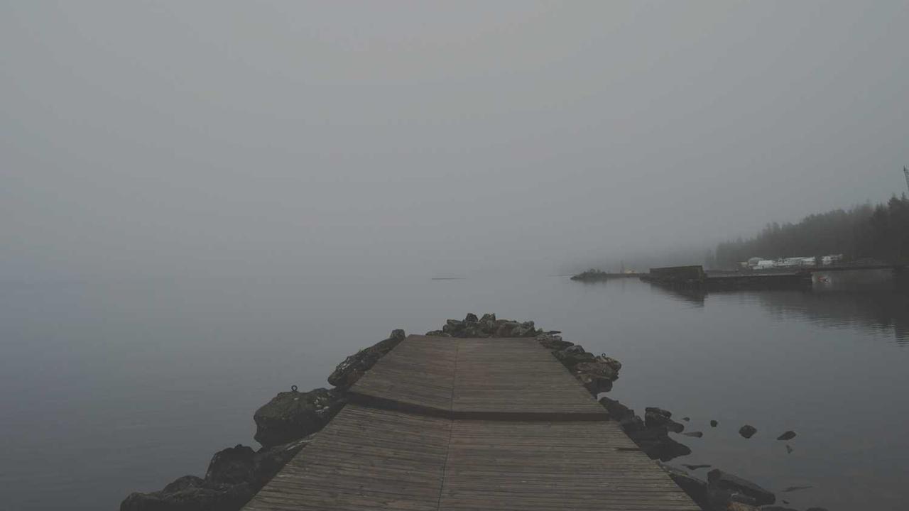 图片[3]-揭秘冒泡网赚的策略与收益潜力-冒泡网